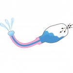 Gruszka - Perfect Fit Ergo Deep Black 