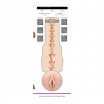 Fleshlight - Realistyczny Masturbator Cipki Gwiazdy Violet Mayers