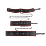 Sportsheets - Obroża Ze Smyczą Mankietami Na Nogi i Nadgarstki