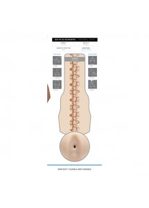 Masturbator dla gejów - Fleshjack Boys Griffin Barrows Cake