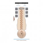 Masturbator dla gejów - Fleshjack Boys Griffin Barrows Cake