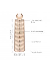 Pillow Talk - 6-Częściowy Mini Zestaw Masażu Łechtaczki Desires