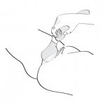 Shunga - Masażer Intymny Dla Kobiet ZOA Malinowy