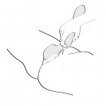 Shunga - Masażer Intymny Dla Kobiet ZOA Różowy