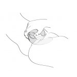 Shunga - Podwójny Wibrator Do Punktu-G i Łechtaczki MIYO Różowy