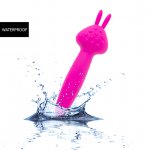 Masażer różdżka do łechtaczki - PalmPower Vibez Waterproof Rabbit Wand  