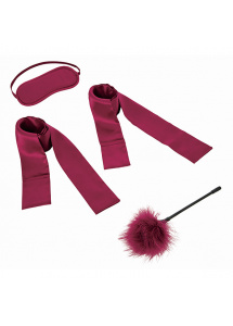 Mini zestaw do BDSM - S&M Enchanted Starter Kit  