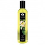Organiczny olejek do masażu - Shunga Massage Oil Organic Green Tea Zielona Herbata