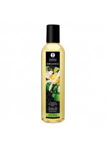 Organiczny olejek do masażu - Shunga Massage Oil Organic Maple Klonowy