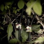 Pętle na penisa do elektrostymulacji - ElectraStim ElectraLoops Prestige  Camo