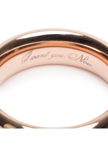 Pierścień stalowy na penisa - Fifty Shades of Grey Freed Steel Love Ring 