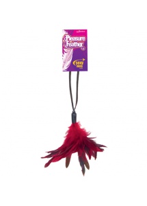 Czerwone piórka - Pleasure Feather - Red