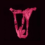 Stymulator motylek sterowany smartfonem telefonem - Realov Lydia I Smart Butterfly Vibe Różowy