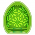 Sześciopak masturbatorów dla sex-maniaków - Zolo Pocket Pool 6-Pack 