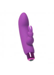 Wibrator 2w1 króliczek - PowerBullet Alice’s Bunny Vibrator 10 Function  Fioletowy