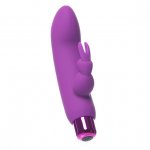 Wibrator 2w1 króliczek - PowerBullet Alice’s Bunny Vibrator 10 Function  Fioletowy