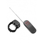 XR Brands Master Series - Pierścień NA PENISA z ELEKTROSTYMULACJĄ + PILOT