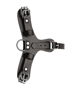XR Brands Master Series - MASKA pies bondage BDSM