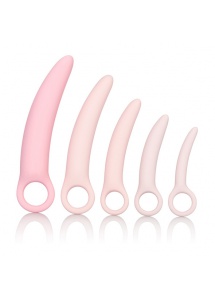 Zestaw treningowy pięć razy dildo - Inspire Silicone Dilator 5 Pcs Set  