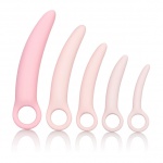 Zestaw treningowy pięć razy dildo - Inspire Silicone Dilator 5 Pcs Set  