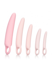 Zestaw treningowy pięć razy dildo - Inspire Silicone Dilator 5 Pcs Set  
